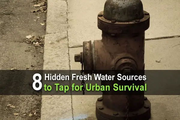 8 Hidden Fresh Water Sources To Tap for Urban Survival
