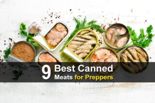 9 Best Canned Meats for Preppers