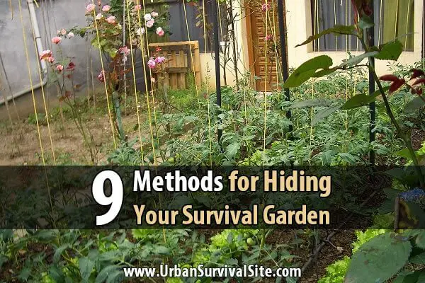 9 Methods for Hiding Your Survival Garden
