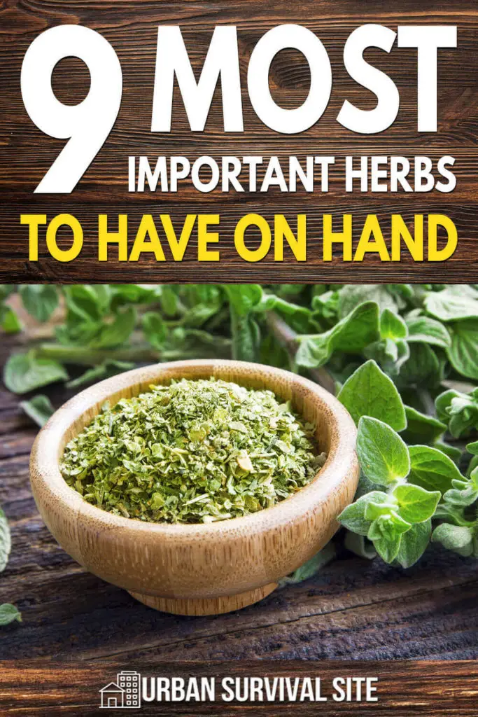 9 Most Important Herbs to Have On Hand