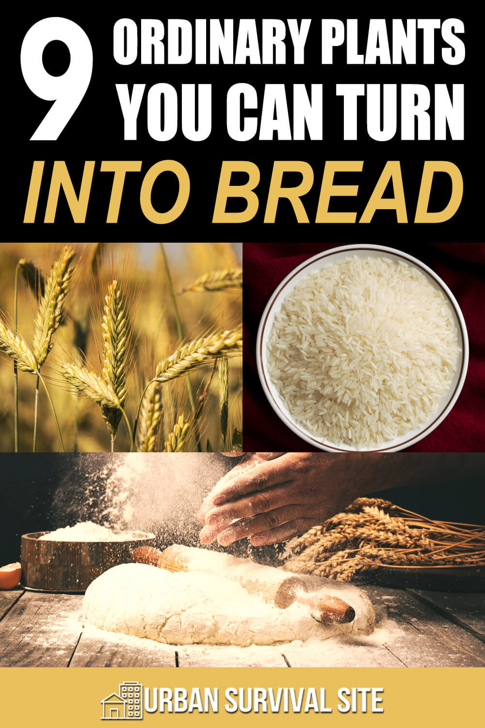 9 Ordinary Plants You Can Turn Into Bread