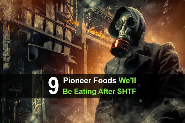 9 Pioneer Foods We'll Be Eating After SHTF