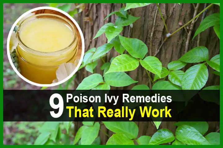 9 Poison Ivy Remedies That Really Work