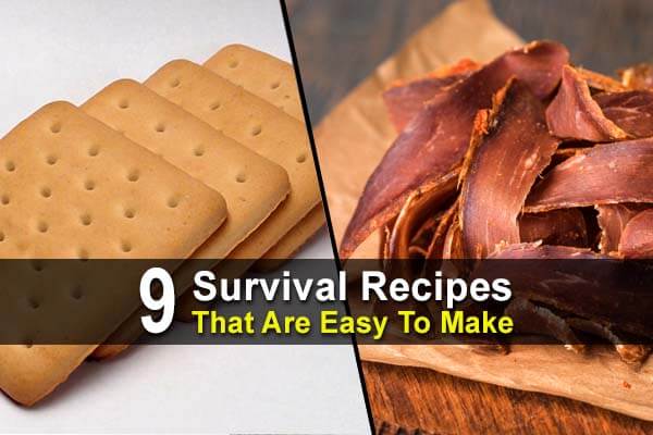 9 Survival Recipes That Are Easy To Make