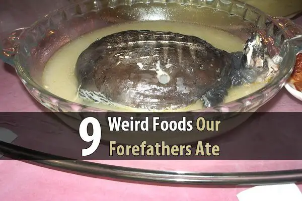 9 Weird Foods Our Forefathers Ate