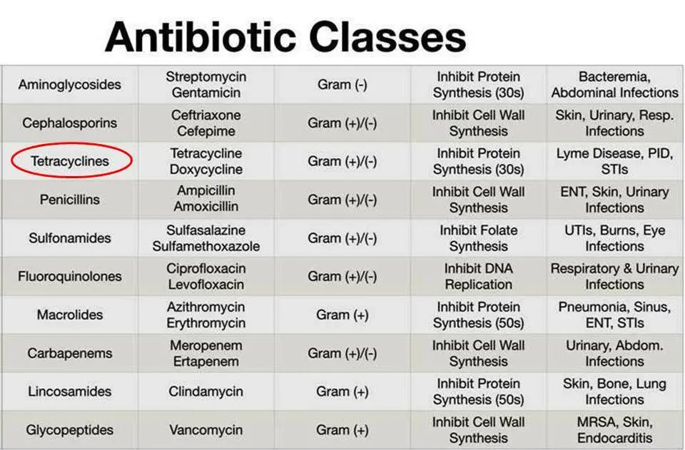 Antibiotics Classes