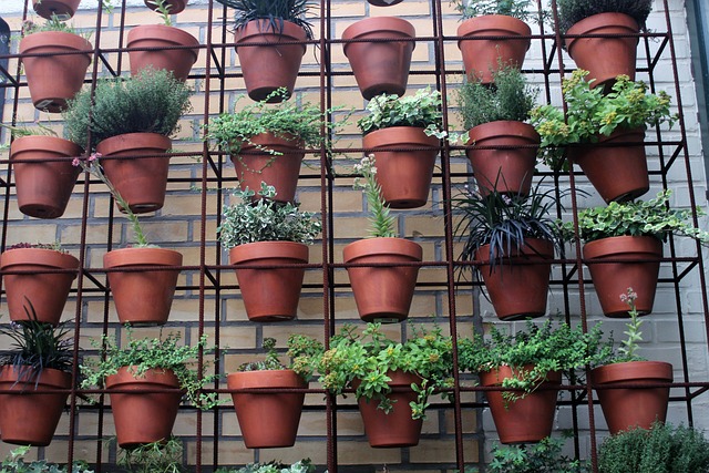 FLOWER POT WALL