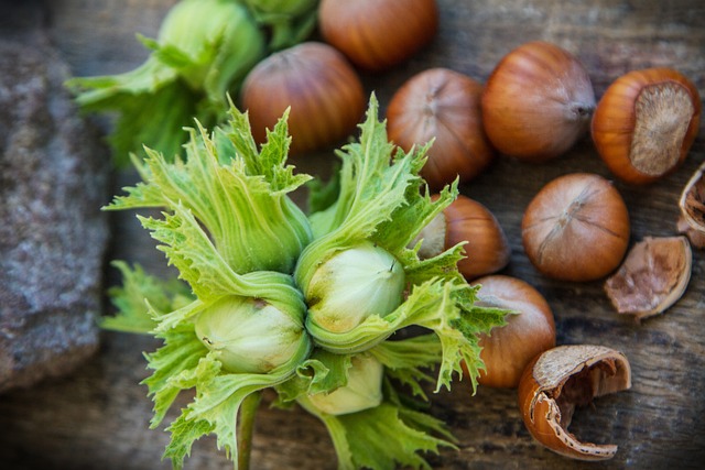 HAZELNUTS