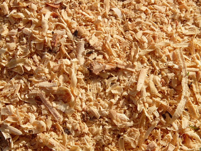 SAWDUST SHAVINGS