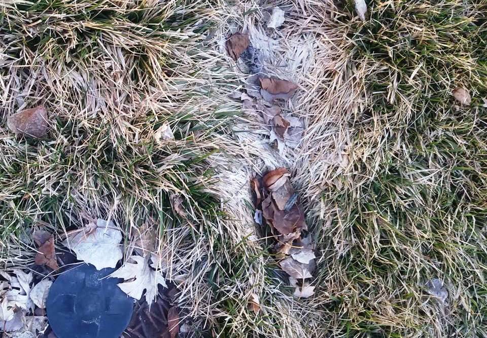 SNOW MOLD