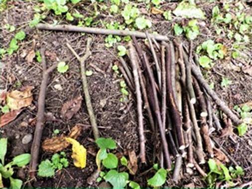 STICKS FOR LEAN TO