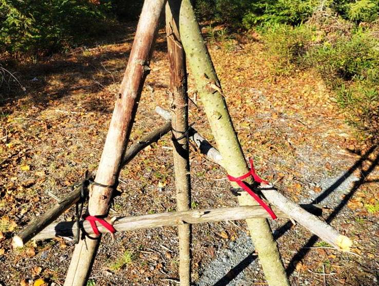 STICKS TIED TO POLES