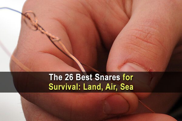 The 26 Best Snares for Survival: Land, Air, Sea
