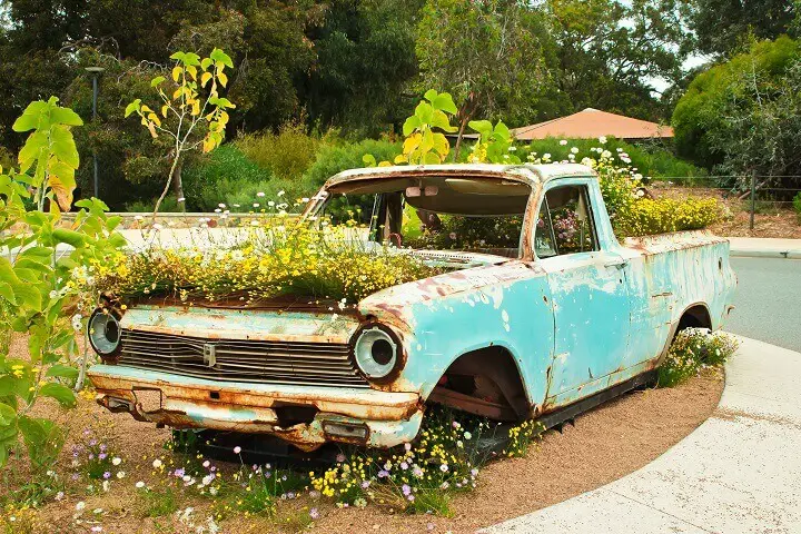 Abandoned Vehicle Covered in Flowers