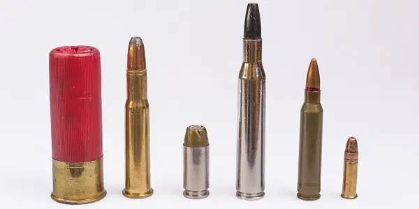Ammo Calibers Lined Up