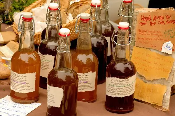 Apple Cider Vinegar | Lost Remedies