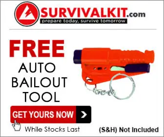 Auto Bailout Tool
