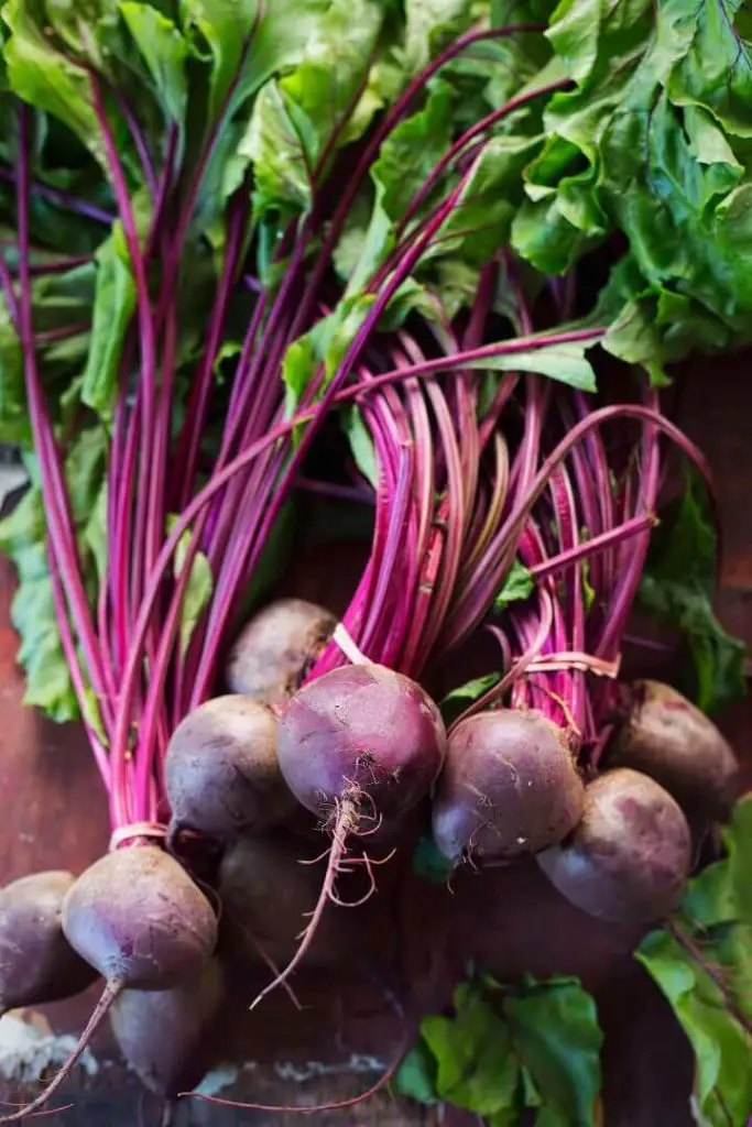 Beetroots Harvested
