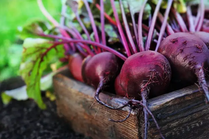 Beets in Crate