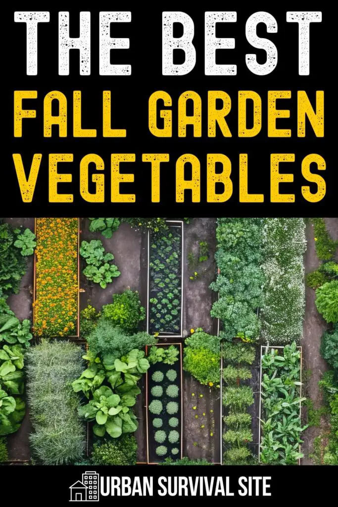 Best Fall Garden Vegetables by Region in the U.S.