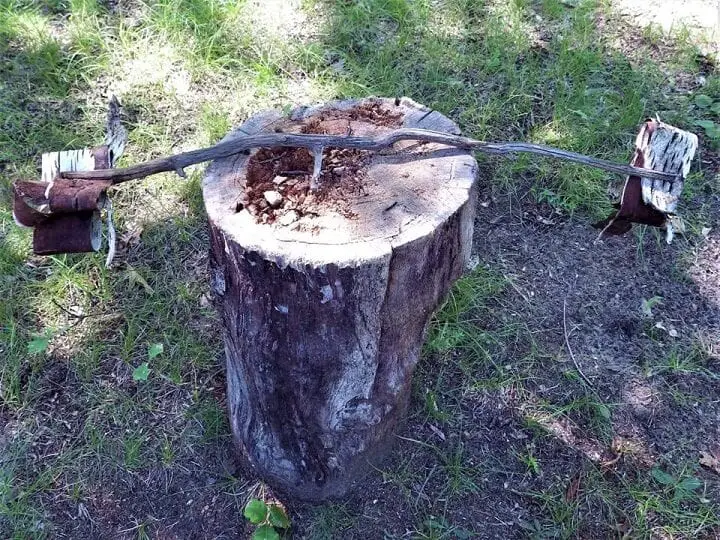 Birch Torch Two Sided Detail