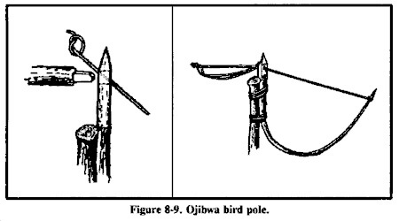 Bird Pole