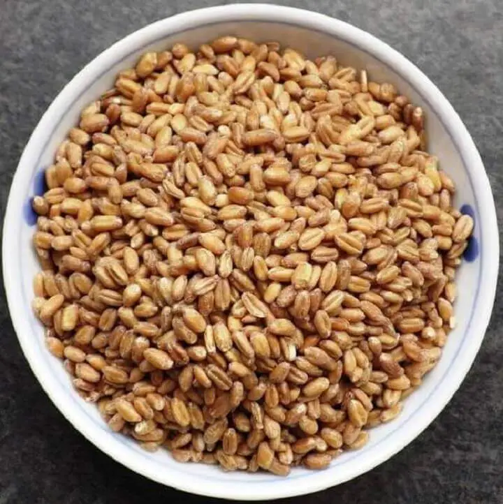 Bowl of Red Wheat Berries