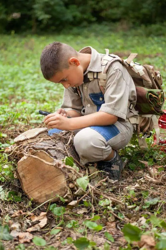 Boy Looking At Nature With Magnifying Glass