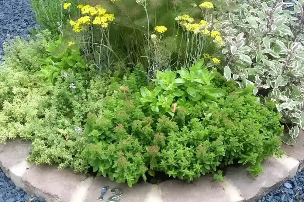 Brick Herb Wheel