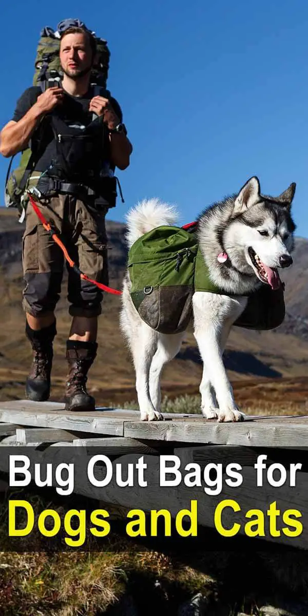 Bug Out Bags for Dogs & Cats