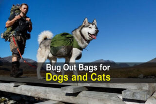 Bug Out Bags for Dogs & Cats