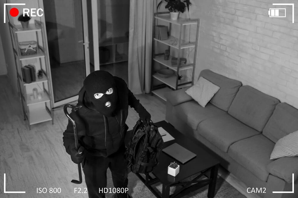 Burglar on Camera