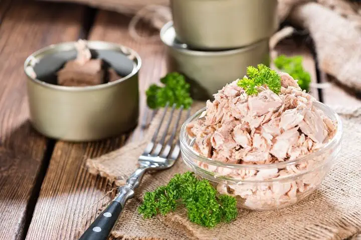 Canned Tuna in Dish