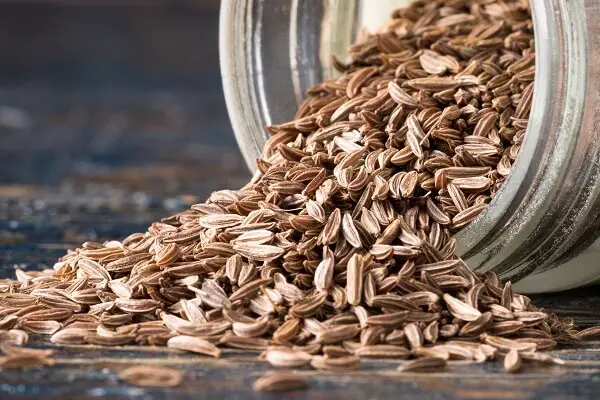 Caraway Seeds | Lost Remedies