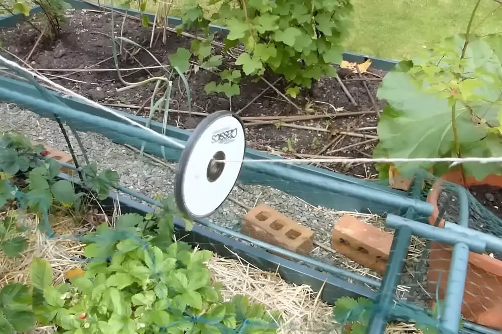 CDs to Scare Birds