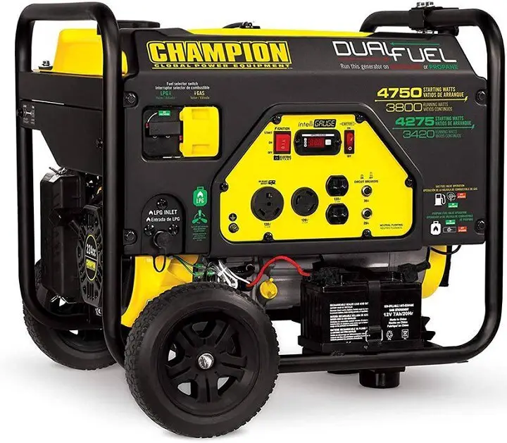 Champion Power Equipment Generator