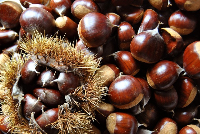 CHESTNUTS