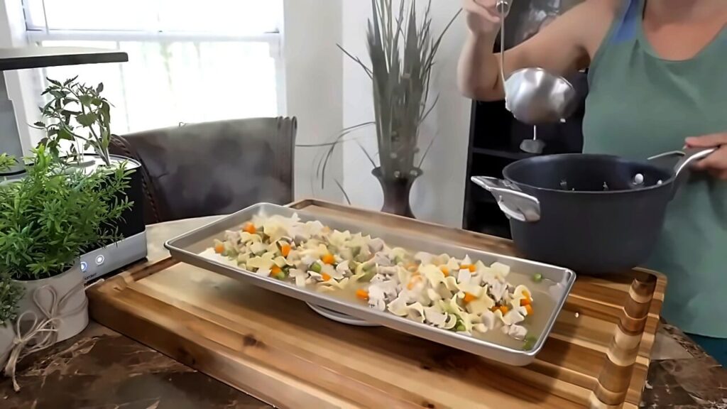 Chicken Noodle Soup for Freeze Drying