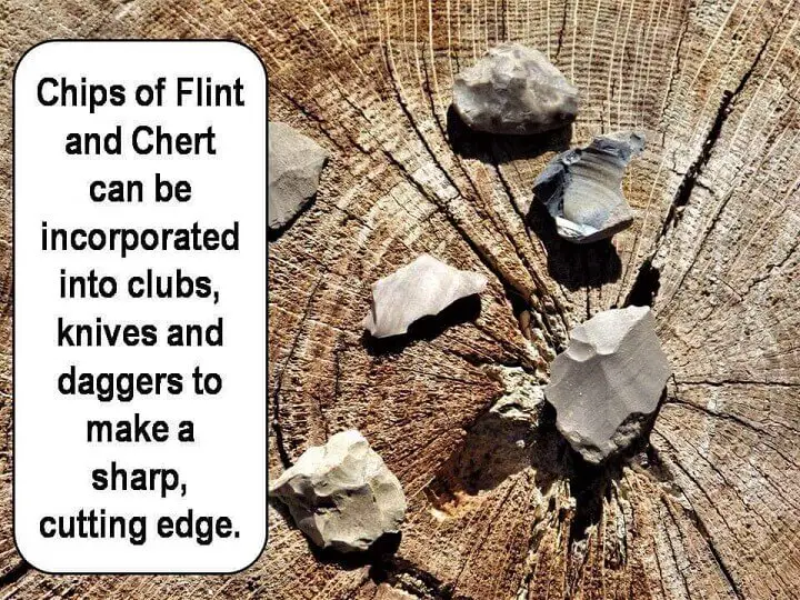 Chips of Flint and Chert