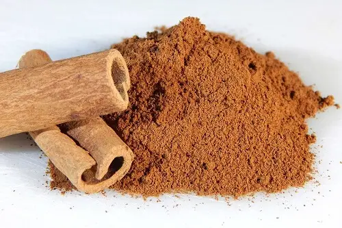 Cinnamon | Herbal Alternatives to Antibiotics