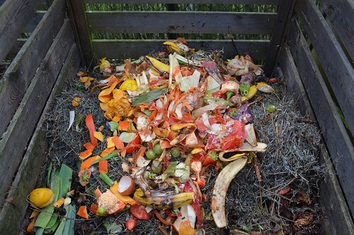 Compost Bin with Fruit Peels