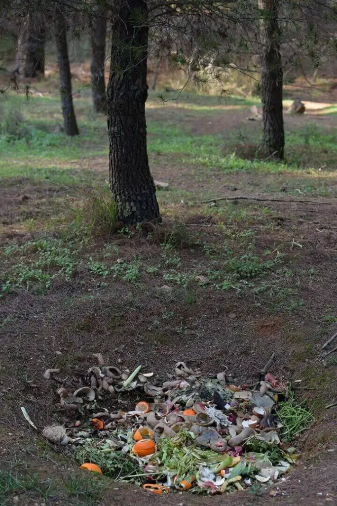 Compost Ground Hole