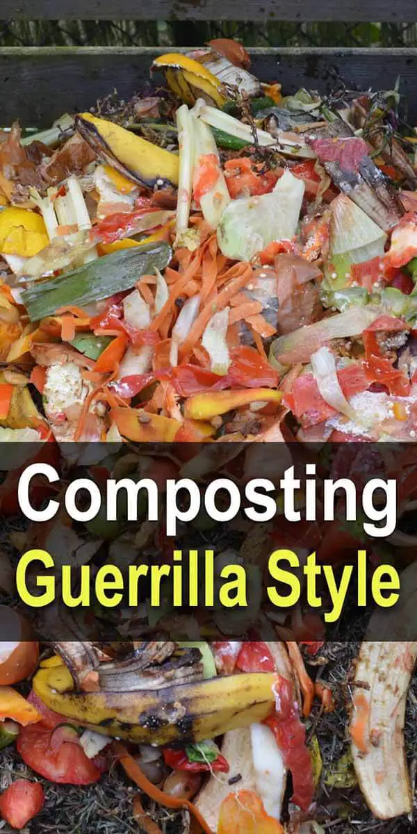Composting Guerrilla Style