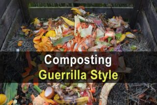 Composting Guerrilla Style