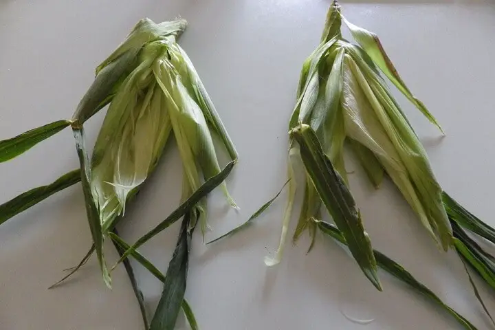 Corn Husks Prepped