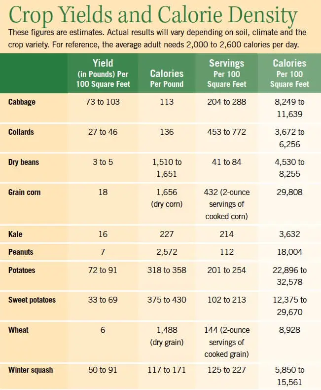 The Highest Calorie Crop You Can Grow Urban Survival Site