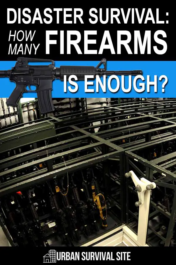 Disaster Survival: How Many Firearms Is Enough?