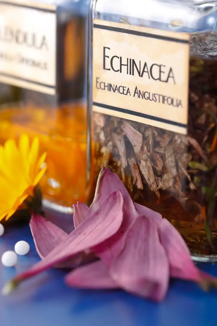Dried Echinacea in Bottle