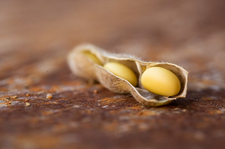 Dry Beans