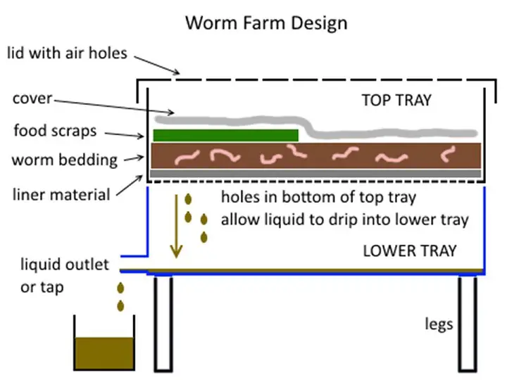 Earthworm Farm Design